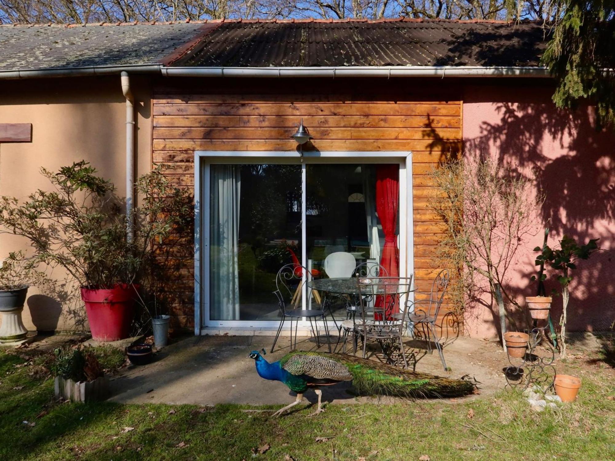 La Faisanderie Saint-Florent-sur-Cher Exterior photo